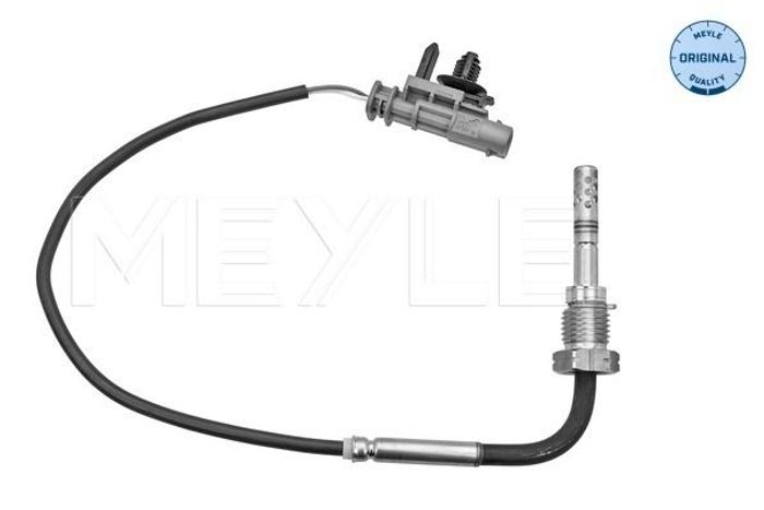 Sensor, Abgastemperatur
