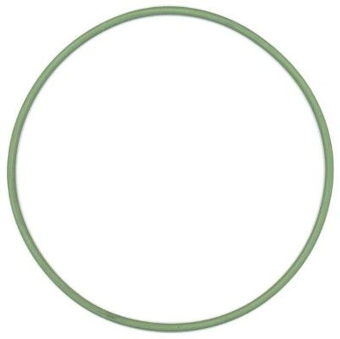 Dichtring