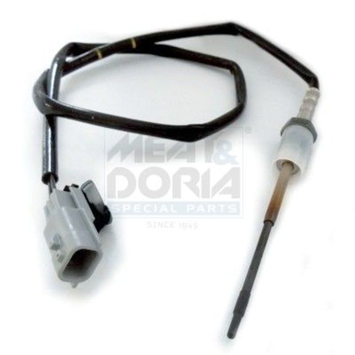 Sensor, Abgastemperatur