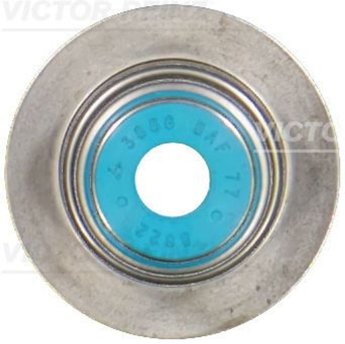 Dichtring, Ventilschaft