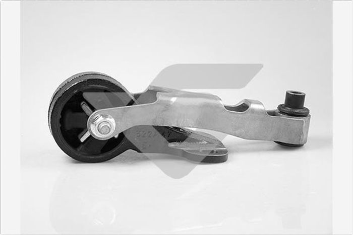 Halter, Motoraufhängung