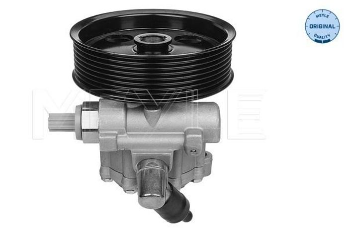 Hydraulikpumpe des Lenkgetriebes (neu) passt zu: MERCEDES GL (X164), M (W164)...
