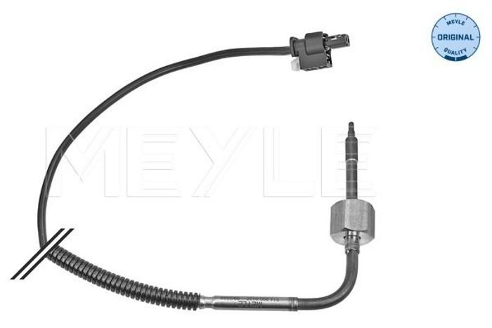 Sensor, Abgastemperatur