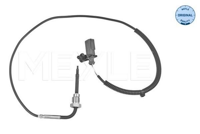 Sensor, Abgastemperatur