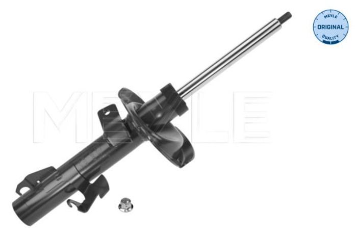 Stoßdämpfer vorne L passt zu: VOLVO C30, C70 II, S40 II, V50; FORD FOCUS II;...