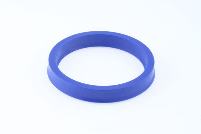 Dichtring