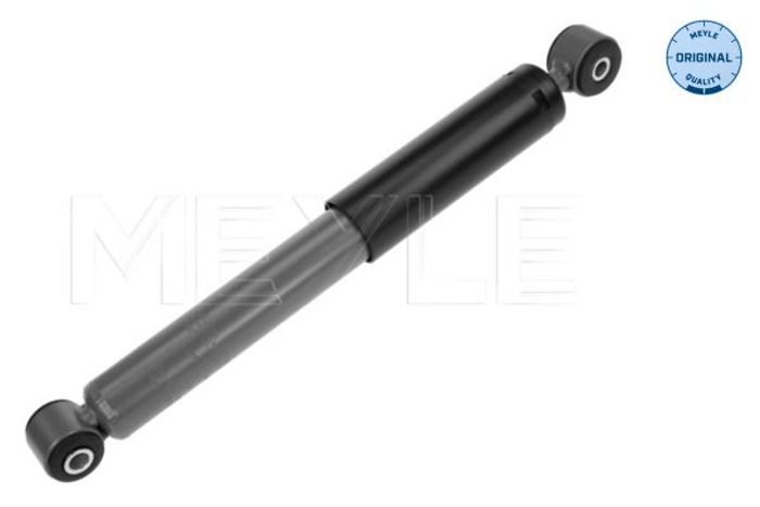 Stoßdämpfer hinten L/R passt zu: FIAT PUNTO; LANCIA YPSILON 1.2-1.9D 09.99-03.12