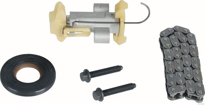 Ventilsteuerung Satz (Kette + Elemente) passt zu: DS DS 3 / DS 3, DS 4 II, DS...