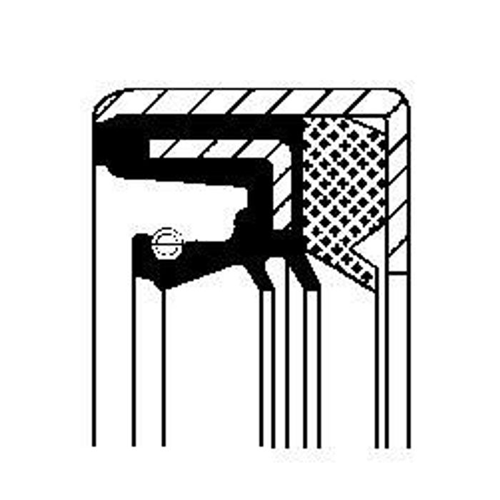 Wellendichtring, Differential