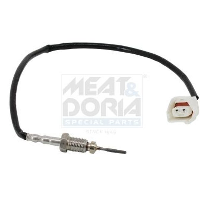 Sensor, Abgastemperatur