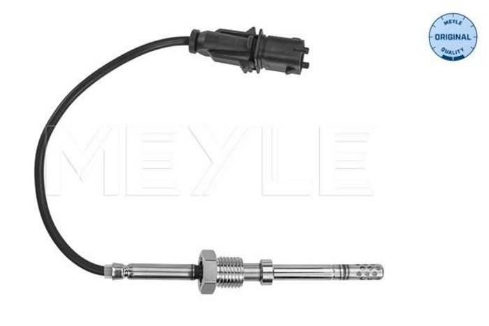 Sensor, Abgastemperatur