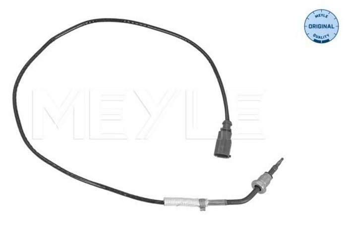 Sensor, Abgastemperatur
