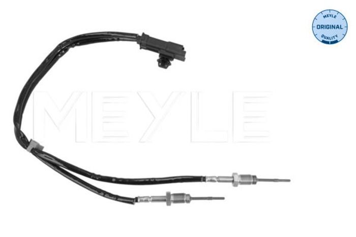 Sensor, Abgastemperatur