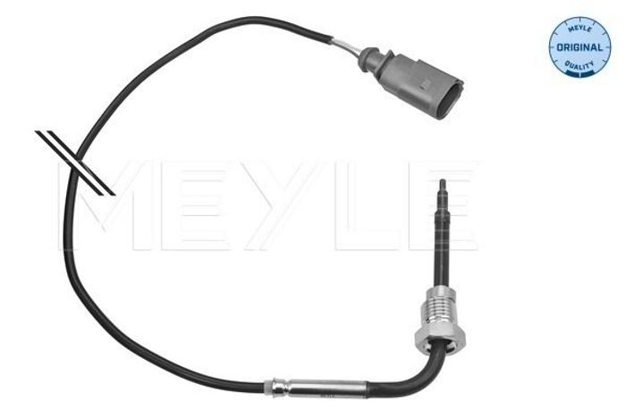 Sensor, Abgastemperatur