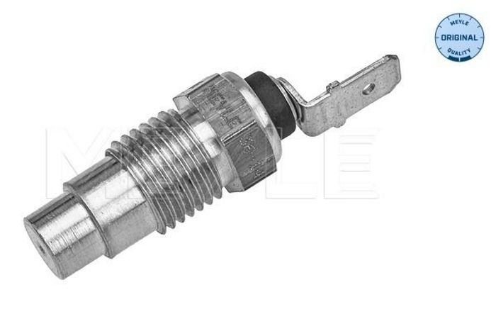Sensor, Kühlmitteltemperatur