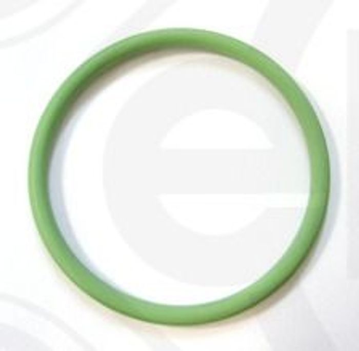 Dichtring