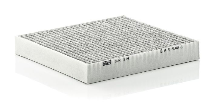 Filter, Innenraumluft