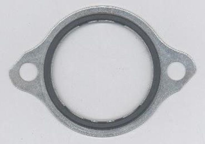 Dichtung, Thermostat