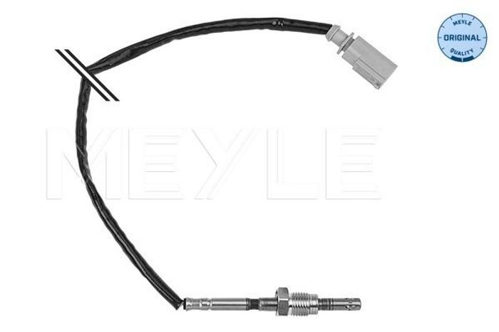 Sensor, Abgastemperatur
