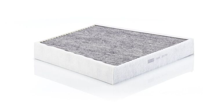 Filter, Innenraumluft