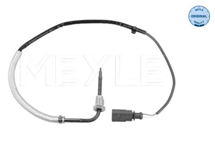 Sensor, Abgastemperatur