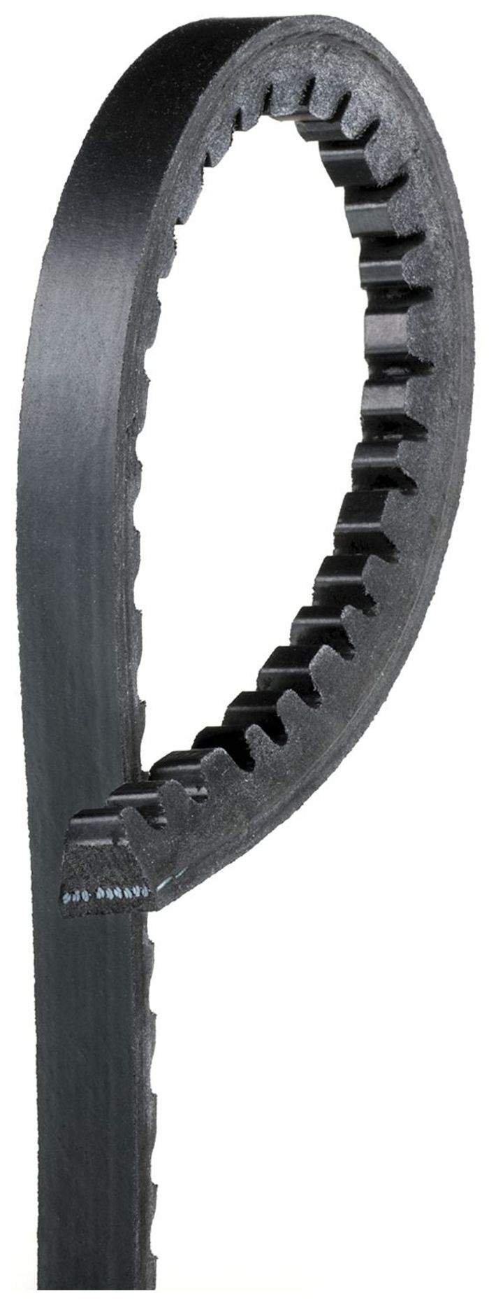 Keilriemen