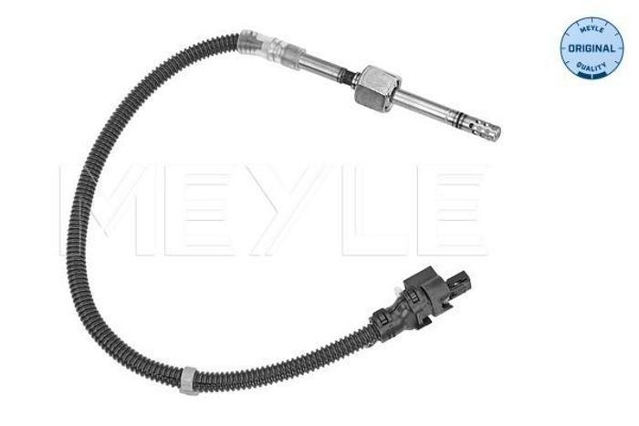 Sensor, Abgastemperatur
