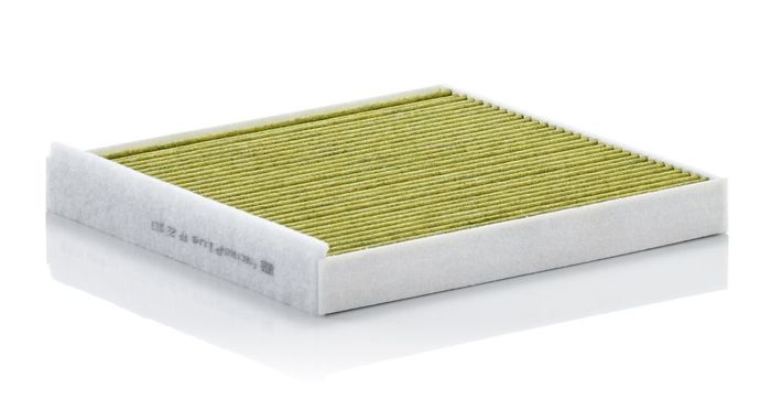Filter, Innenraumluft