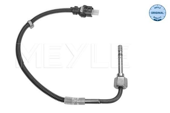Sensor, Abgastemperatur