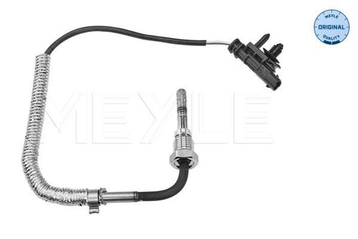 Sensor, Abgastemperatur