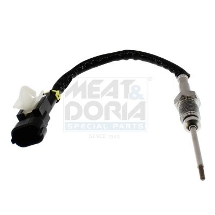 Sensor, Abgastemperatur