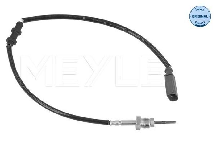 Sensor, Abgastemperatur