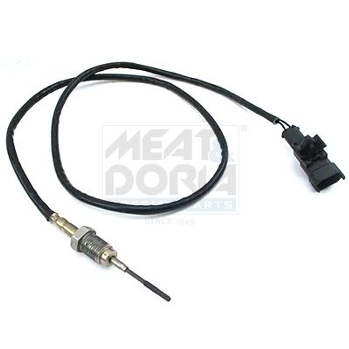 Sensor, Abgastemperatur