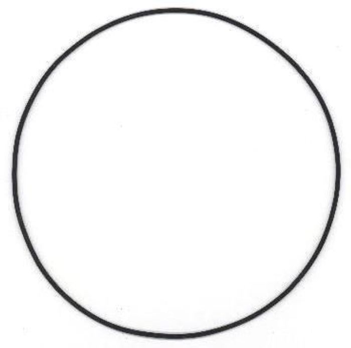 Dichtring