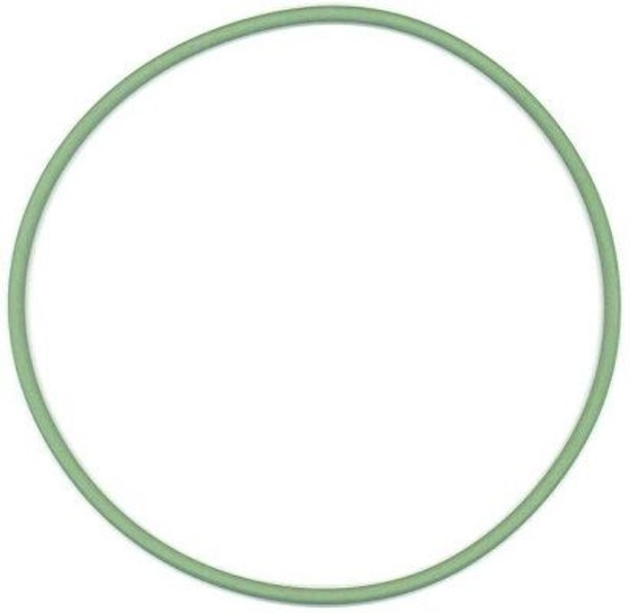 Dichtring
