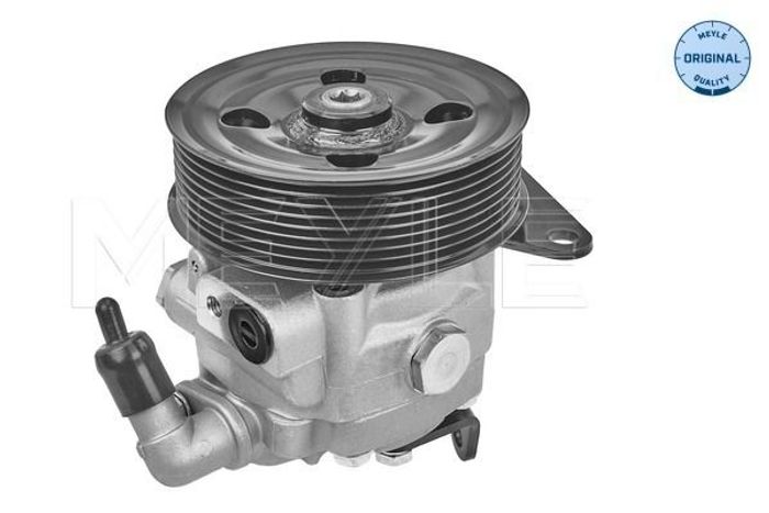 Hydraulikpumpe, Lenkung