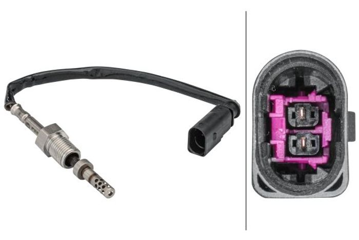 Sensor, Abgastemperatur