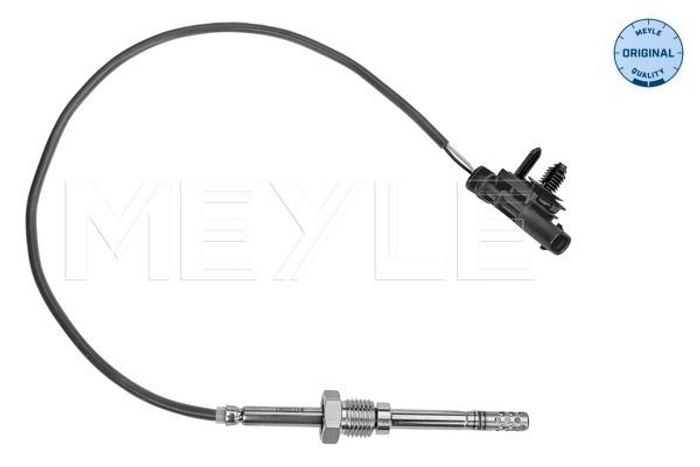 Sensor, Abgastemperatur