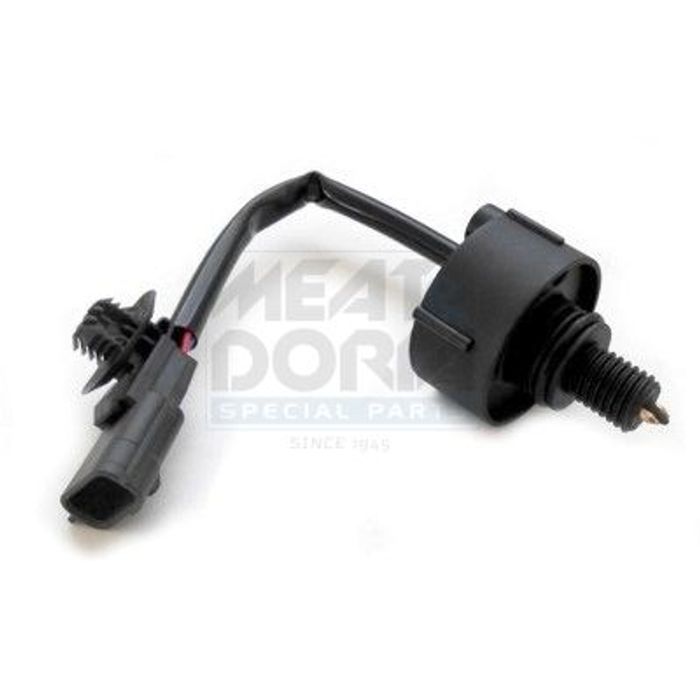 Wassersensor, Kraftstoffanlage