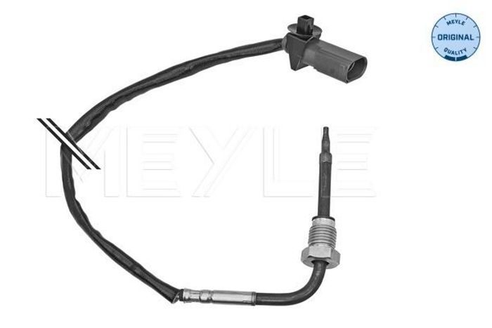 Sensor, Abgastemperatur