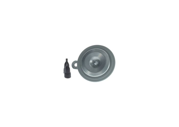Horn