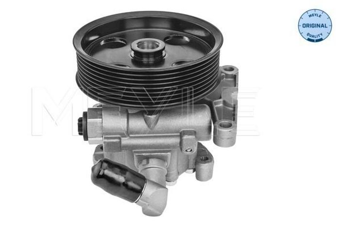 Hydraulikpumpe des Lenkgetriebes (neu) passt zu: MERCEDES GL (X164), M (W164)...
