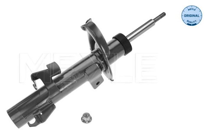 Stoßdämpfer vorne R passt zu: VOLVO C30, C70 II, S40 II, V50; FORD FOCUS II;...