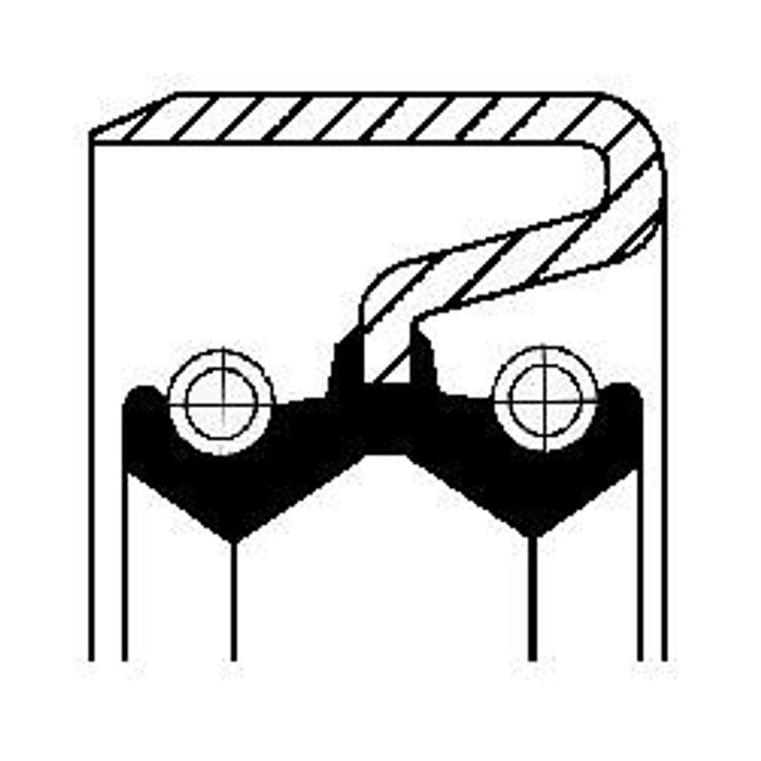 Technische Dichtung (55x67x12mm) passt zu: ZF