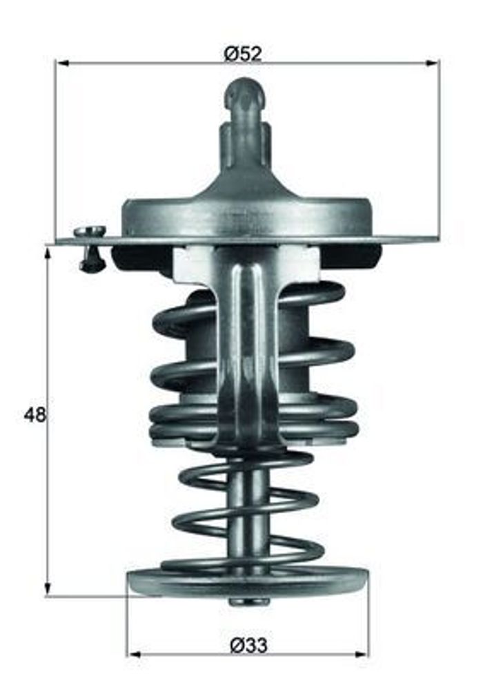 Thermostat, Kühlmittel