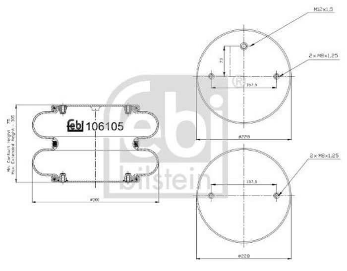 Balg Luftfederung (durchmesser: 226/307mm) passt zu: SAF; WIELTON