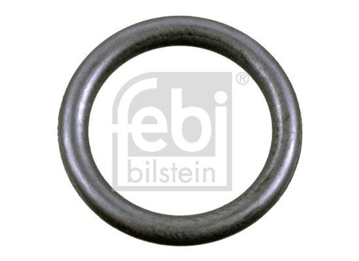 Radnabendichtung (15x19x2) passt zu: IVECO EUROCARGO I-III, EUROSTAR, EUROTEC...