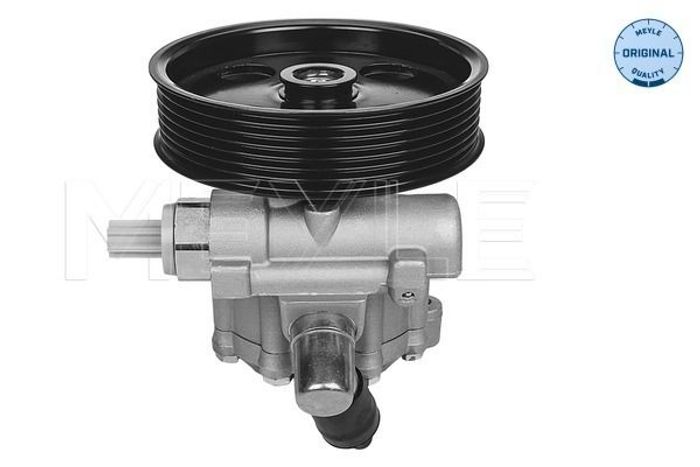 Hydraulikpumpe des Lenkgetriebes (neu) passt zu: MERCEDES SPRINTER 3,5-T (B90...