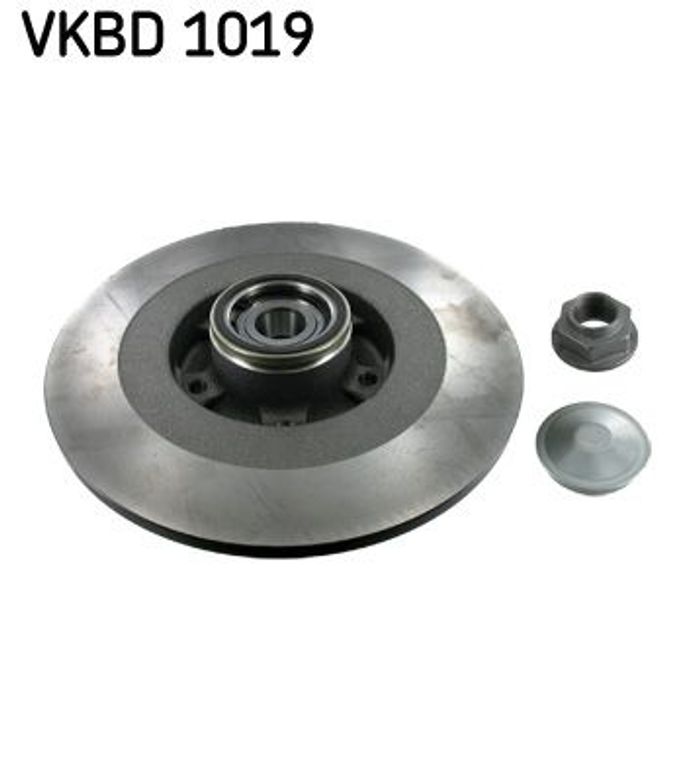 Bremsscheibe mit Lager hinten L/R passt zu: RENAULT LAGUNA III, LATITUDE, TWI...