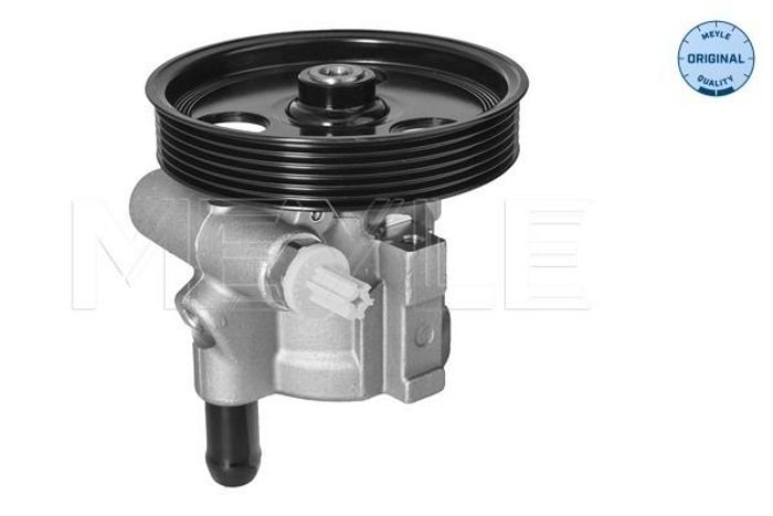 Hydraulikpumpe des Lenkgetriebes (neu) passt zu: DACIA LOGAN, LOGAN EXPRESS,...